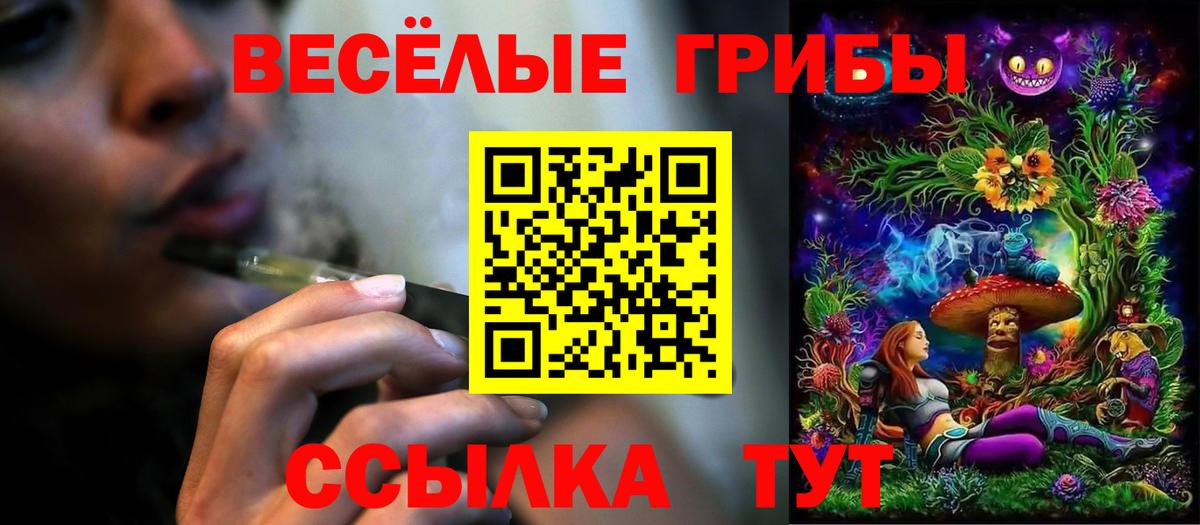 Клинцы  Псилоцибиновые грибы мицелий  Вход с VPN  Псилоцибиновые грибы Psilocybine cubensis 